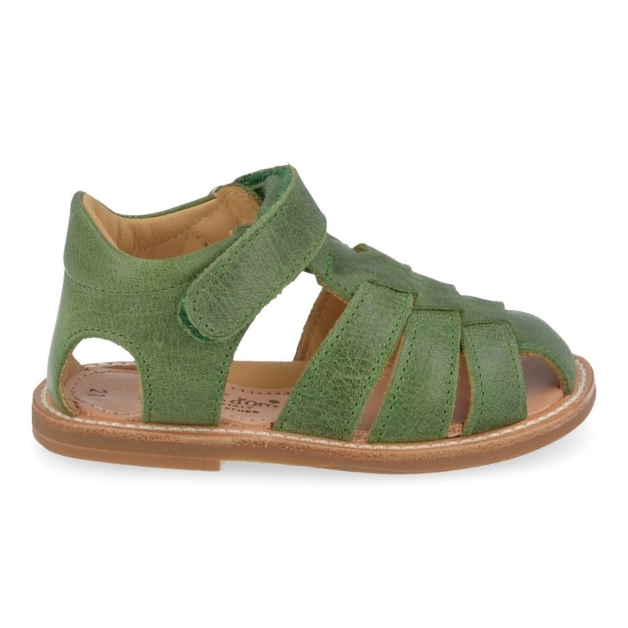 Children'S Shoes For Jongens collonil | Zecchino D'Oro Sandals Khaki Boys (3106) - Junior Steps